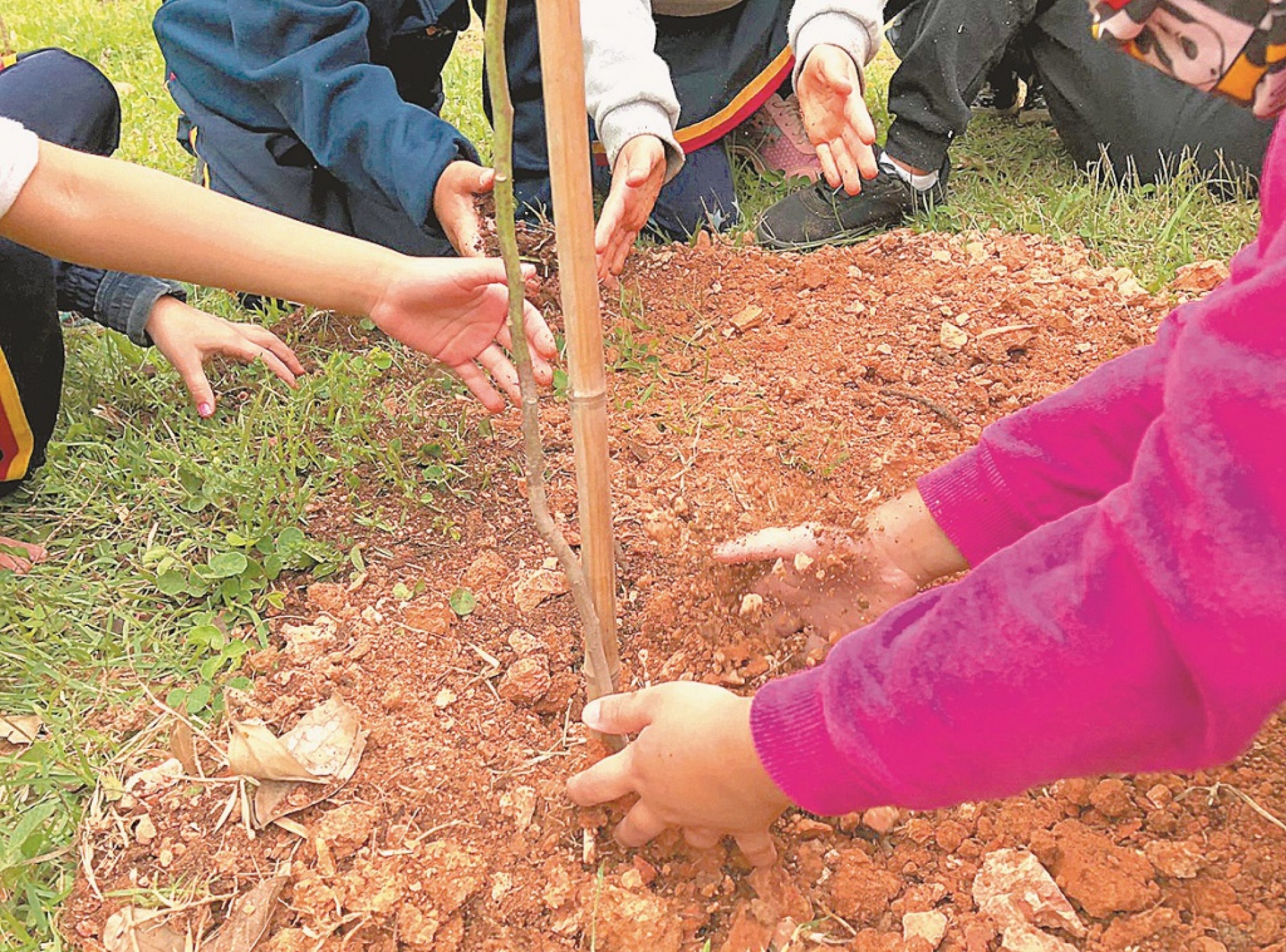 Brincar com folhas, árvores, areia e grama é uma maneira de abrir a mente