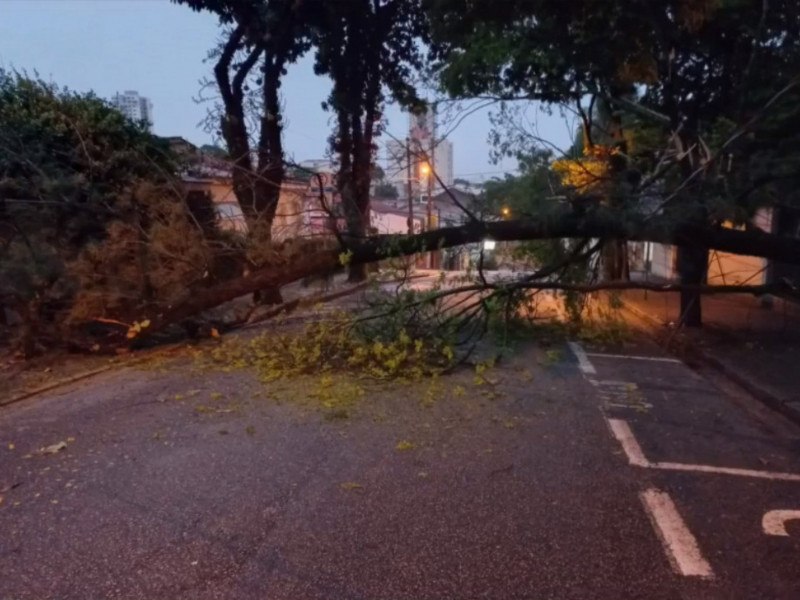 Fortes Chuvas Causam Transtornos Na Região 