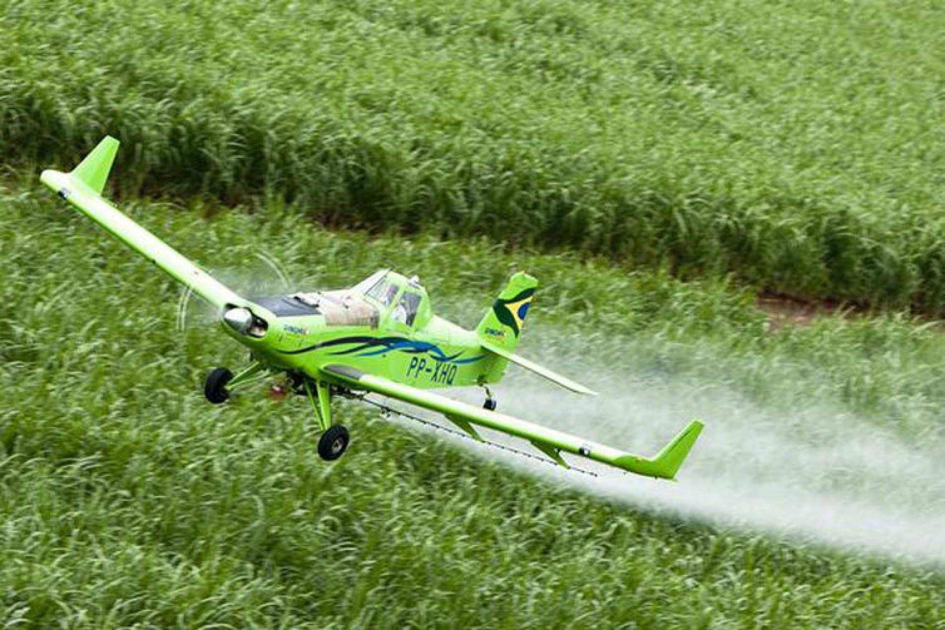 A aplicação será fiscalizada pelo Ministério da Agricultura.