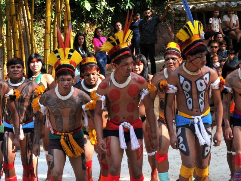 Interc Mbio Cultural Como Os Ndios Do Xingu Transmitem Sua Cultura