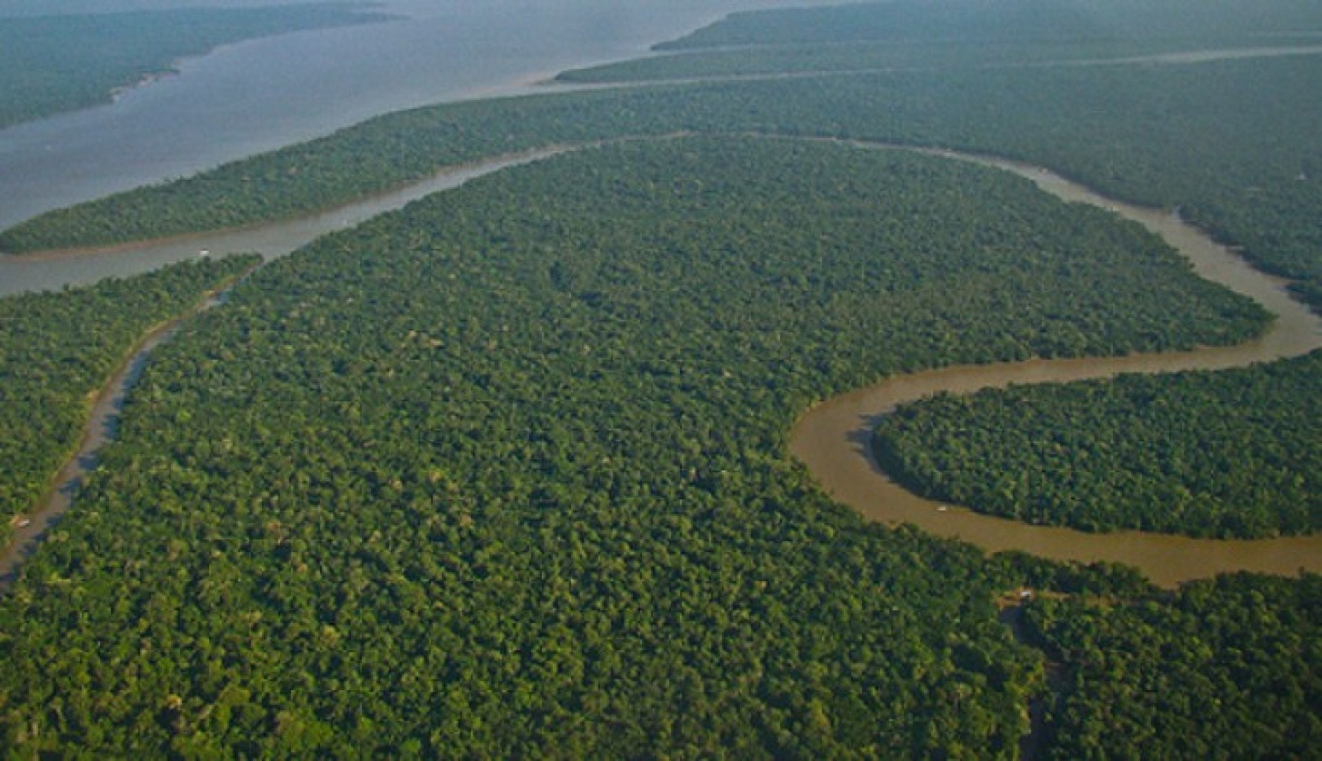 O helicóptero da Funai caiu na Floresta Amazônica