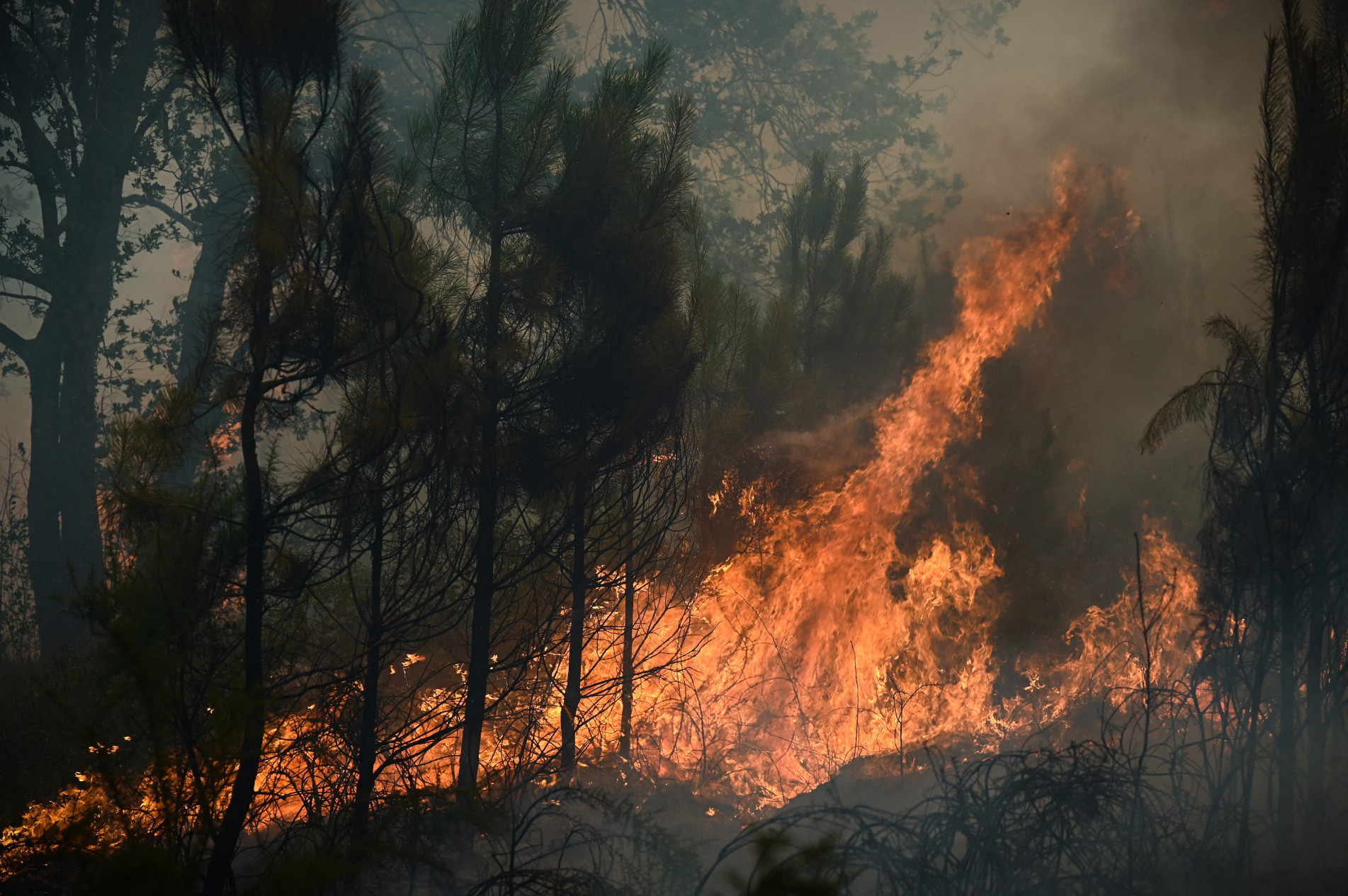 Floresta pega fogo em Louchats, no sudoeste da França.