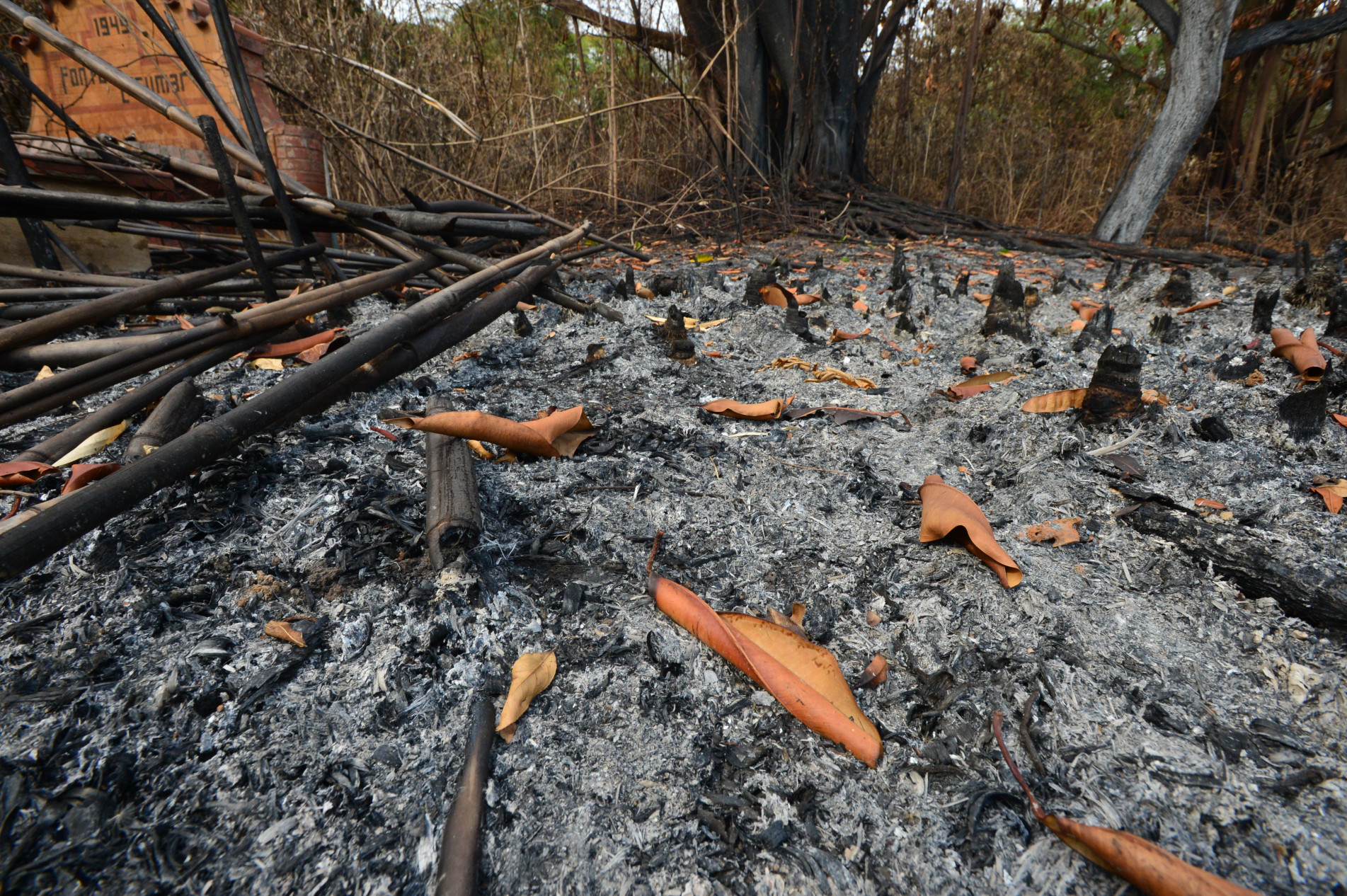 Sofrem as pessoas e o meio ambiente, além de riscos de acidentes nas rodovias com vítimas e perdas materiais