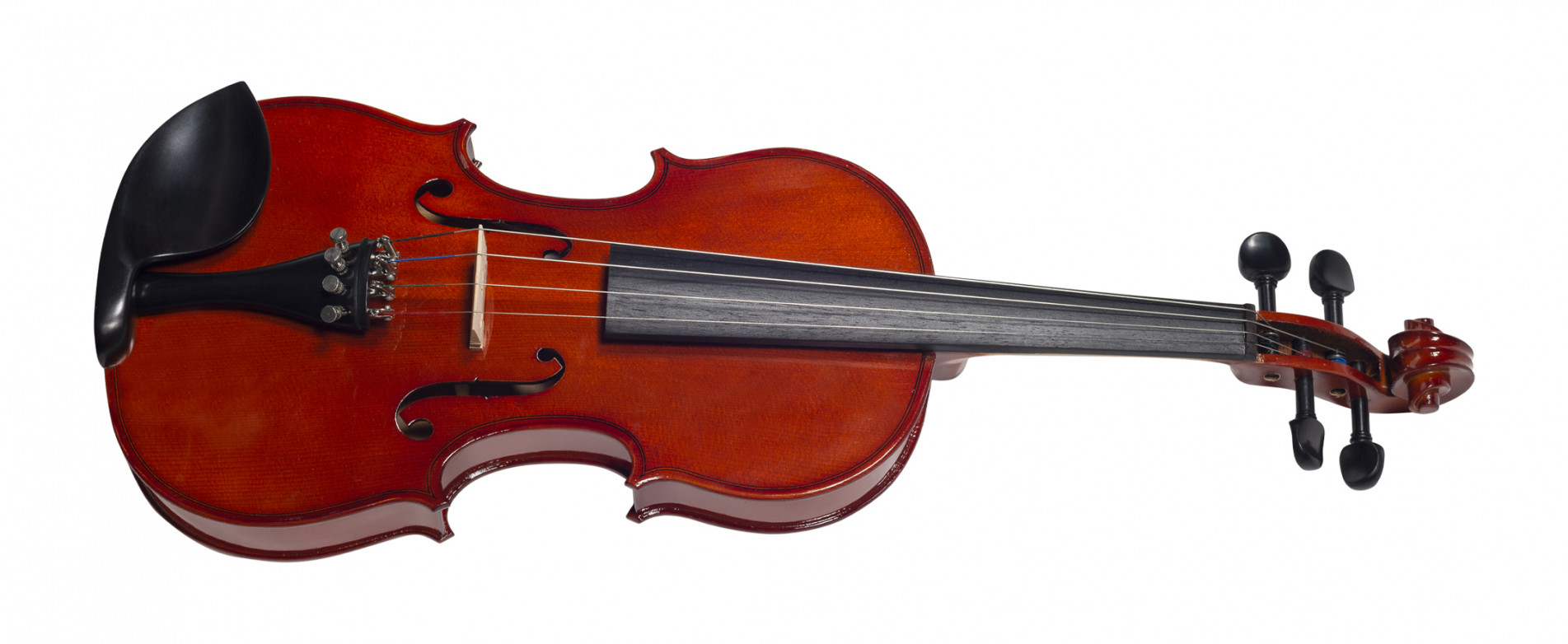 Violino