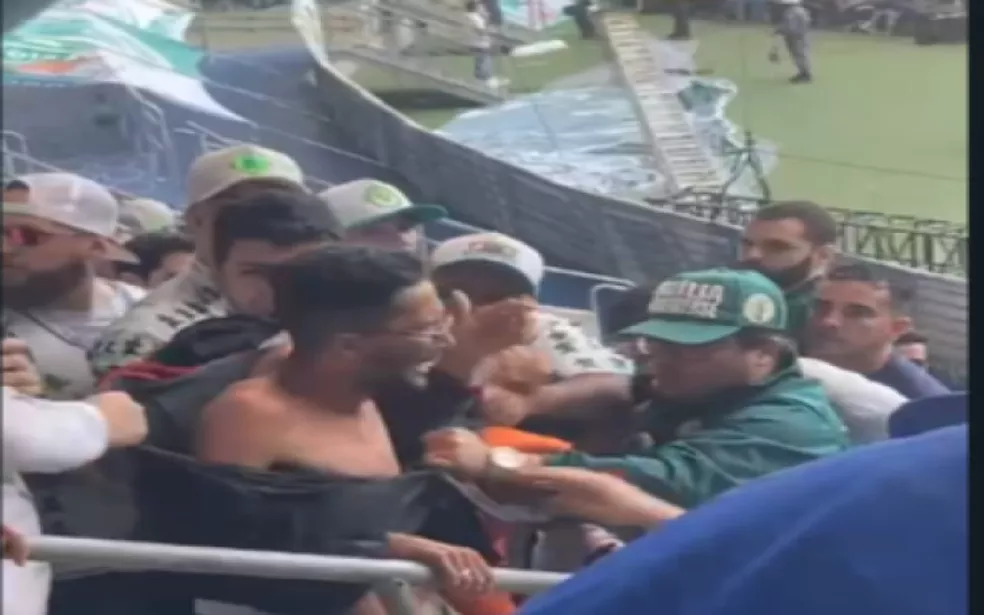 Confusão com torcedor no Allianz Parque, no jogo Palmeiras x Flamengo 