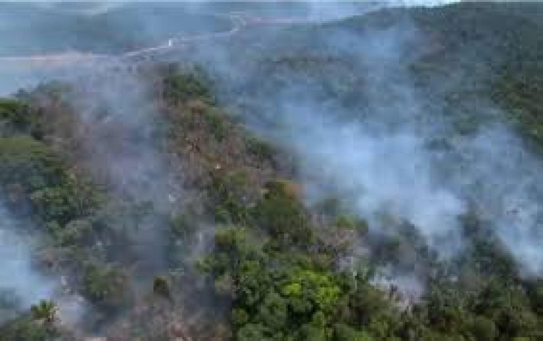 Fumaça presente em floresta da região amazônica