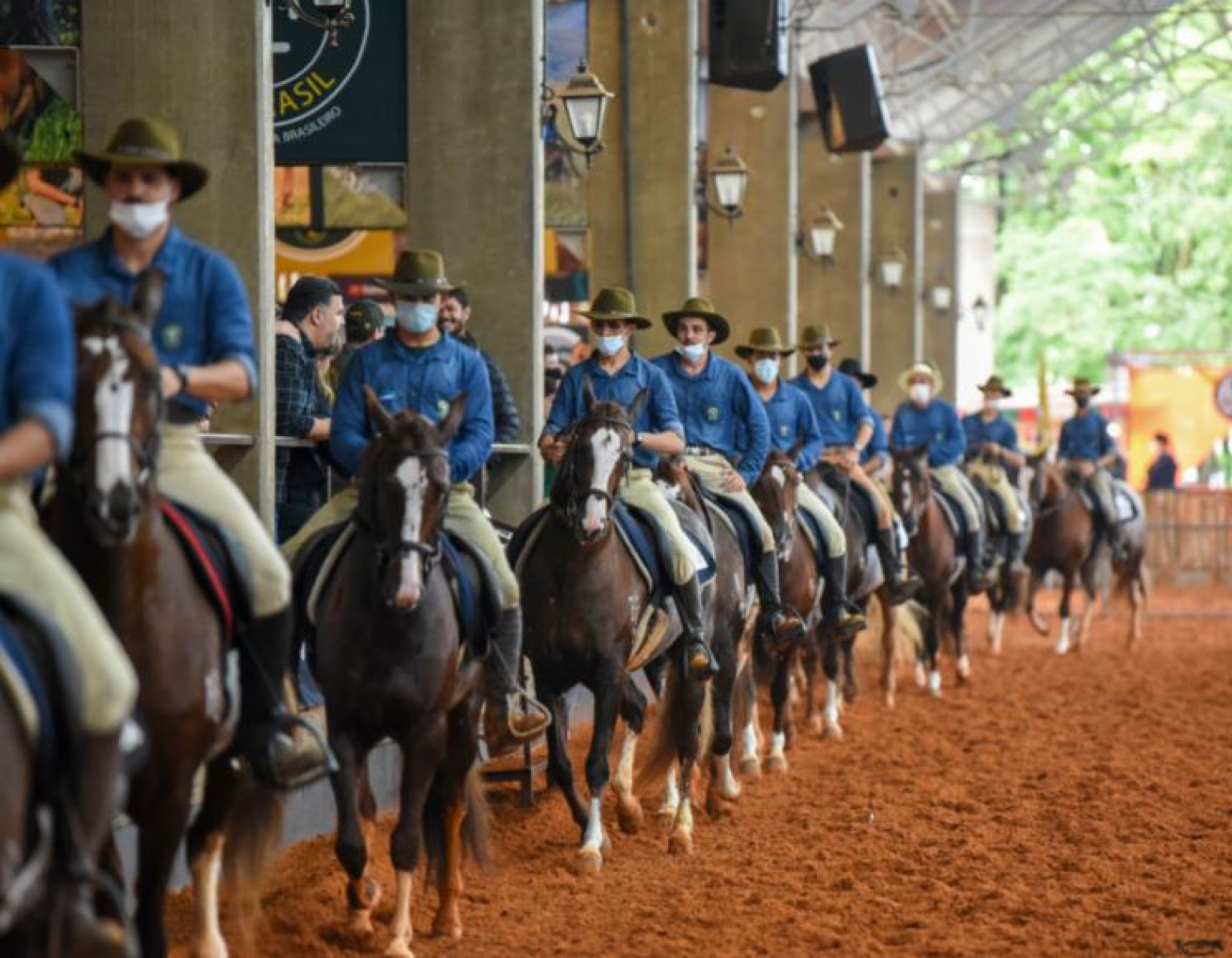 44ª Exposição Nacional do Cavalo Mangalarga começa nesta quarta-feira (7)