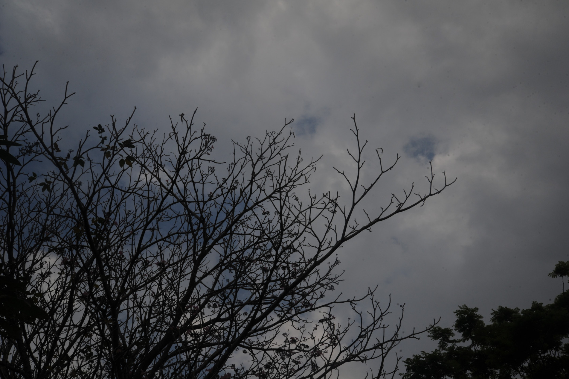 Mínima deve ficar em 15°C durante a semana, mas vento diminui a sensação térmica