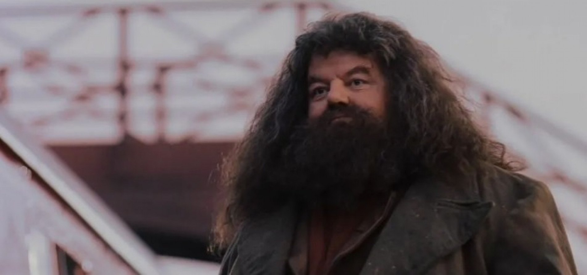 Ator Robbie Coltrane em Harry Potter