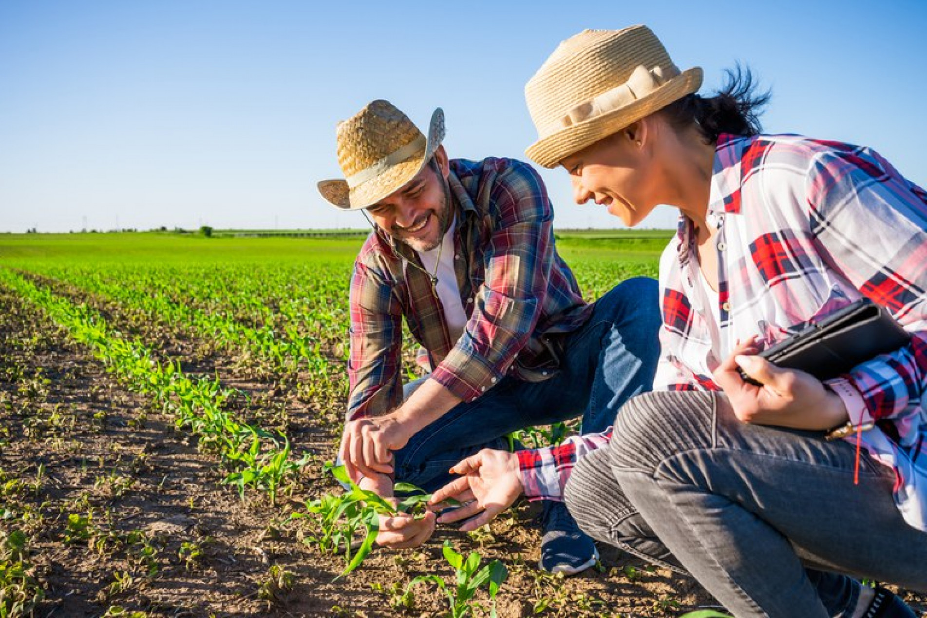 Agricultura Familiar Terá Novo Cadastro A Partir Desta Terça Feira 3648