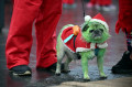 O "Grinch" de Liverpool - OLI SCARFF/AFP