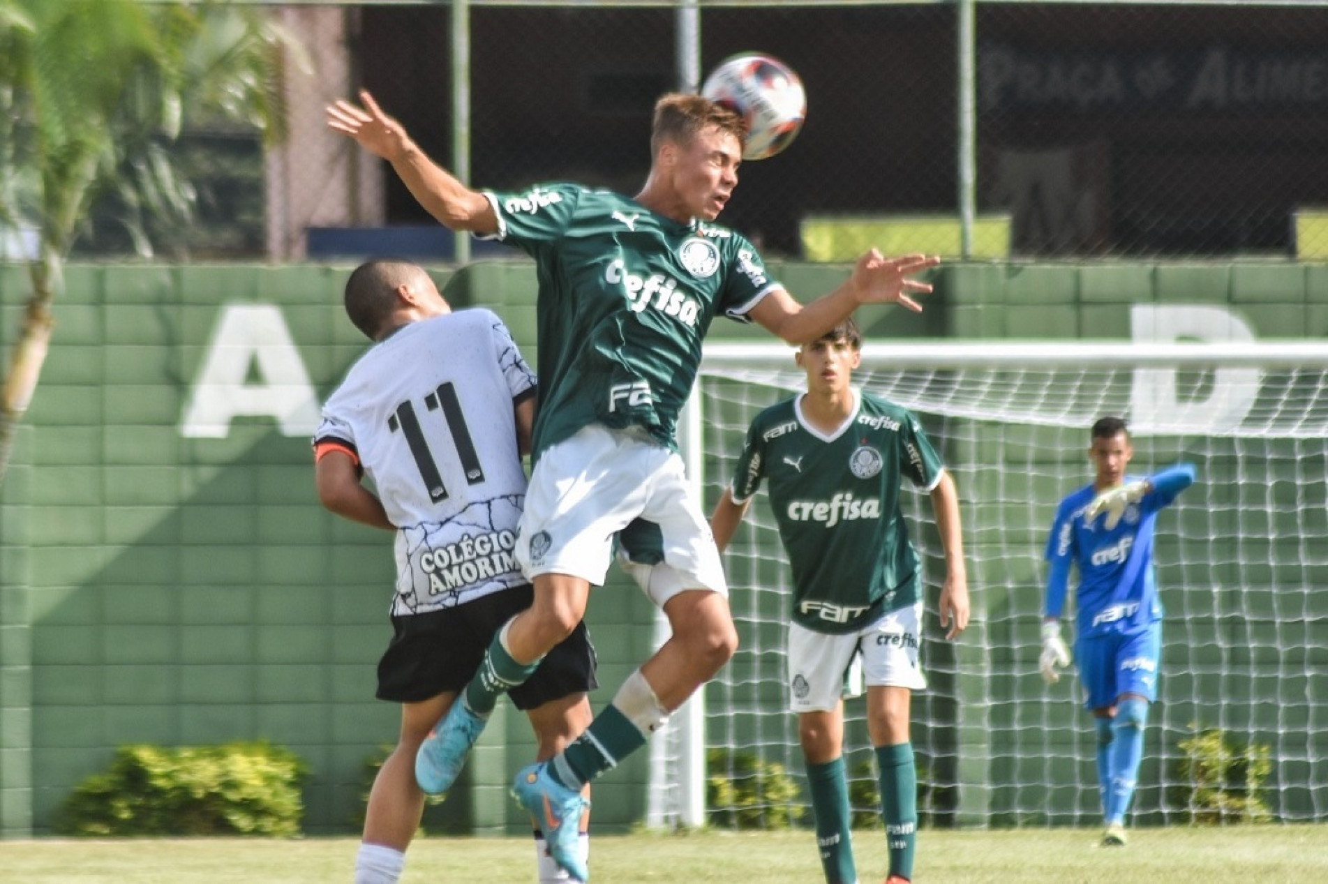 Jogos do Verdão na primeira fase da Copinha terão entrada gratuita