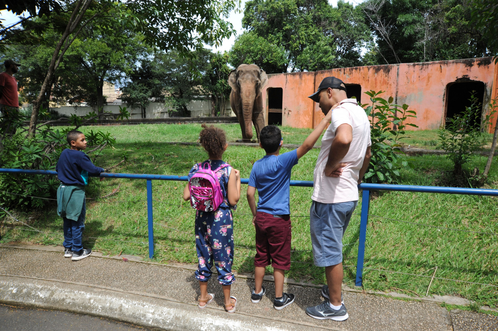 O elefante Sandro encanta a todos que passam pelo seu recinto -- como os irmãos Endrius e Pietro