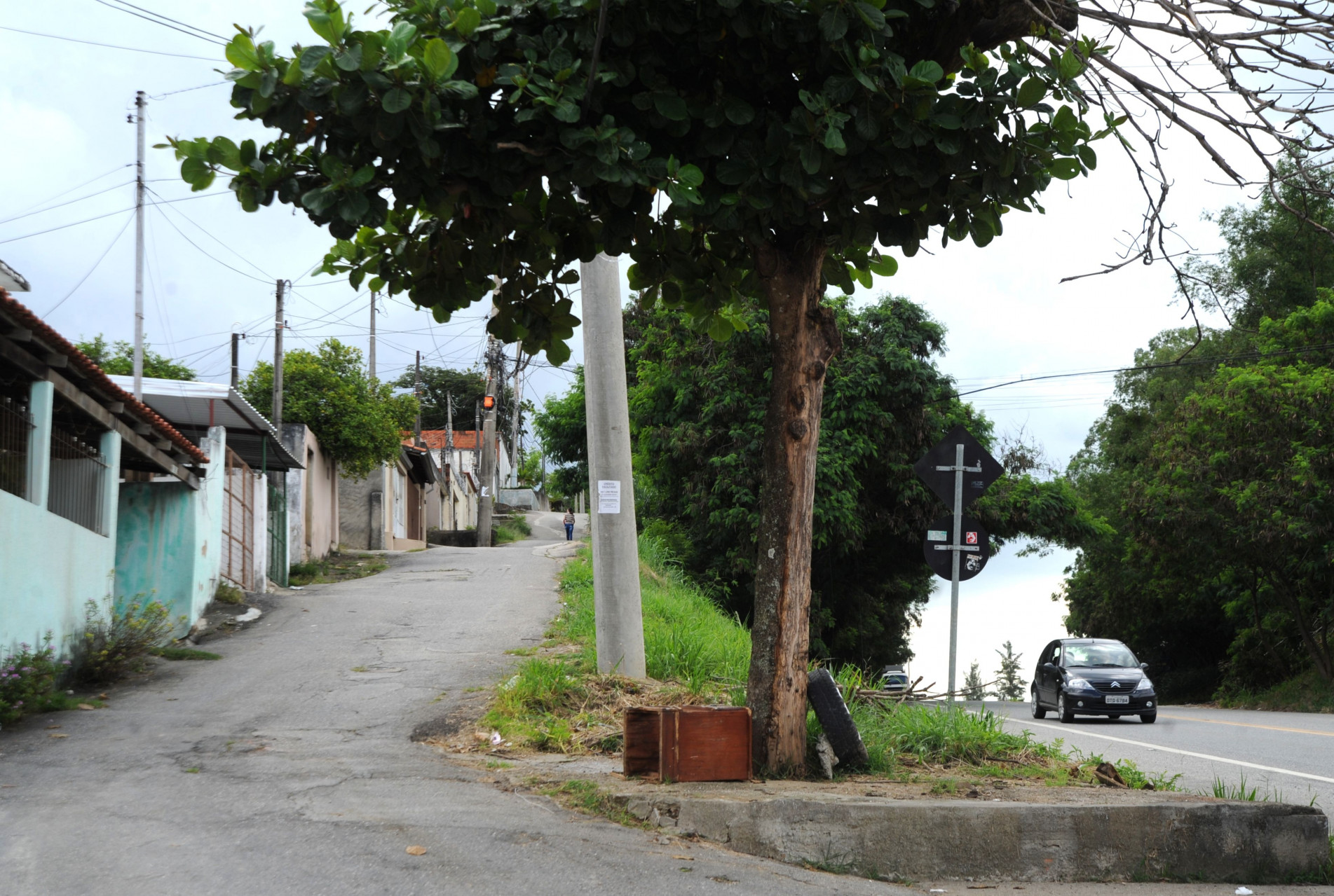 Além das árvores, rua estreita paralela ao muro de arrimo dificulta mobilidade