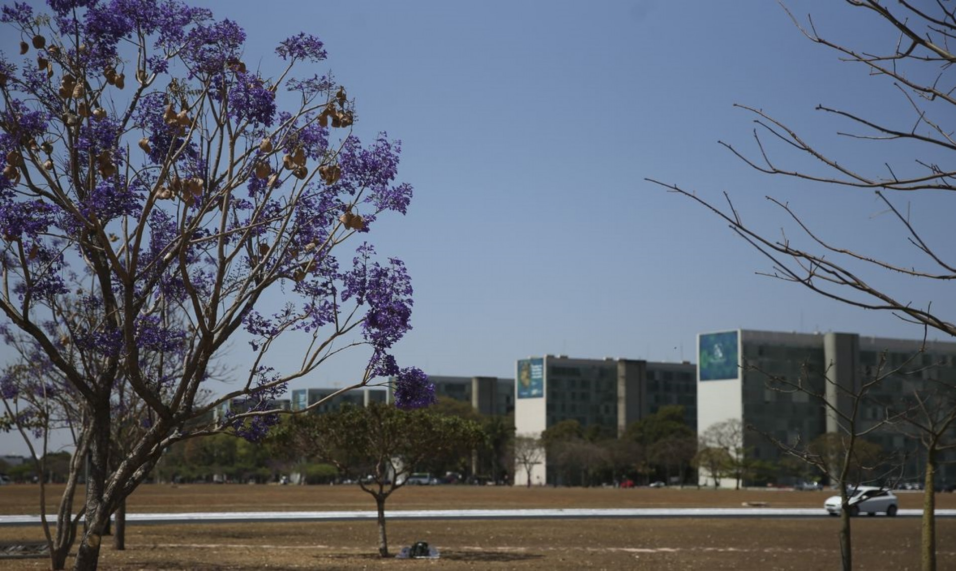 Esplanada dos Ministérios recebe preparativos para o desfile cívico-militar de 7 de Setembro