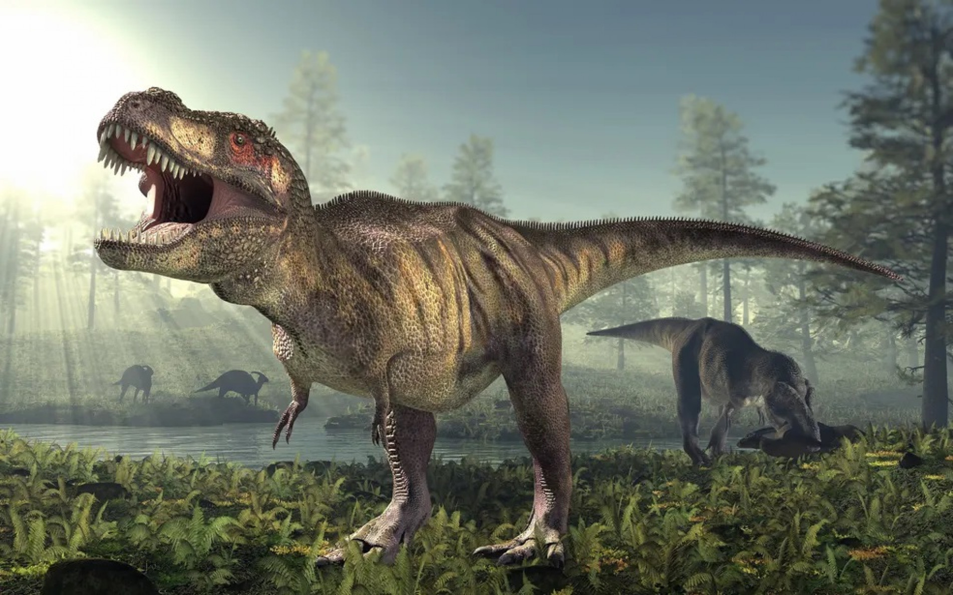 Jurassic Park enganou: tiranossauro rex tinha dentes ocultos e lábios