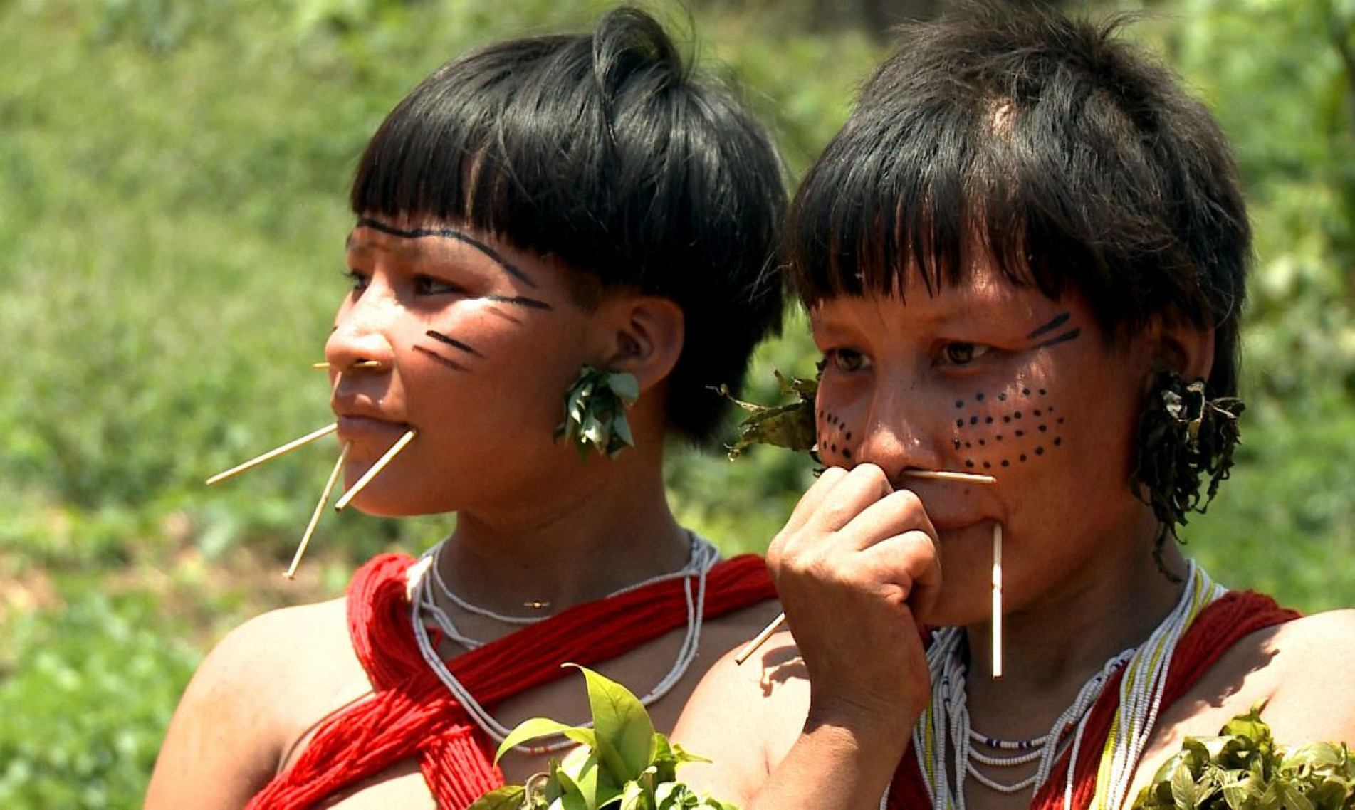 Brasília (DF - Caminhos da Reportagem Yanomami - O Direito de Existir - Mulheres indígenas yanomami. - Foto: TV Brasil/Divulgação