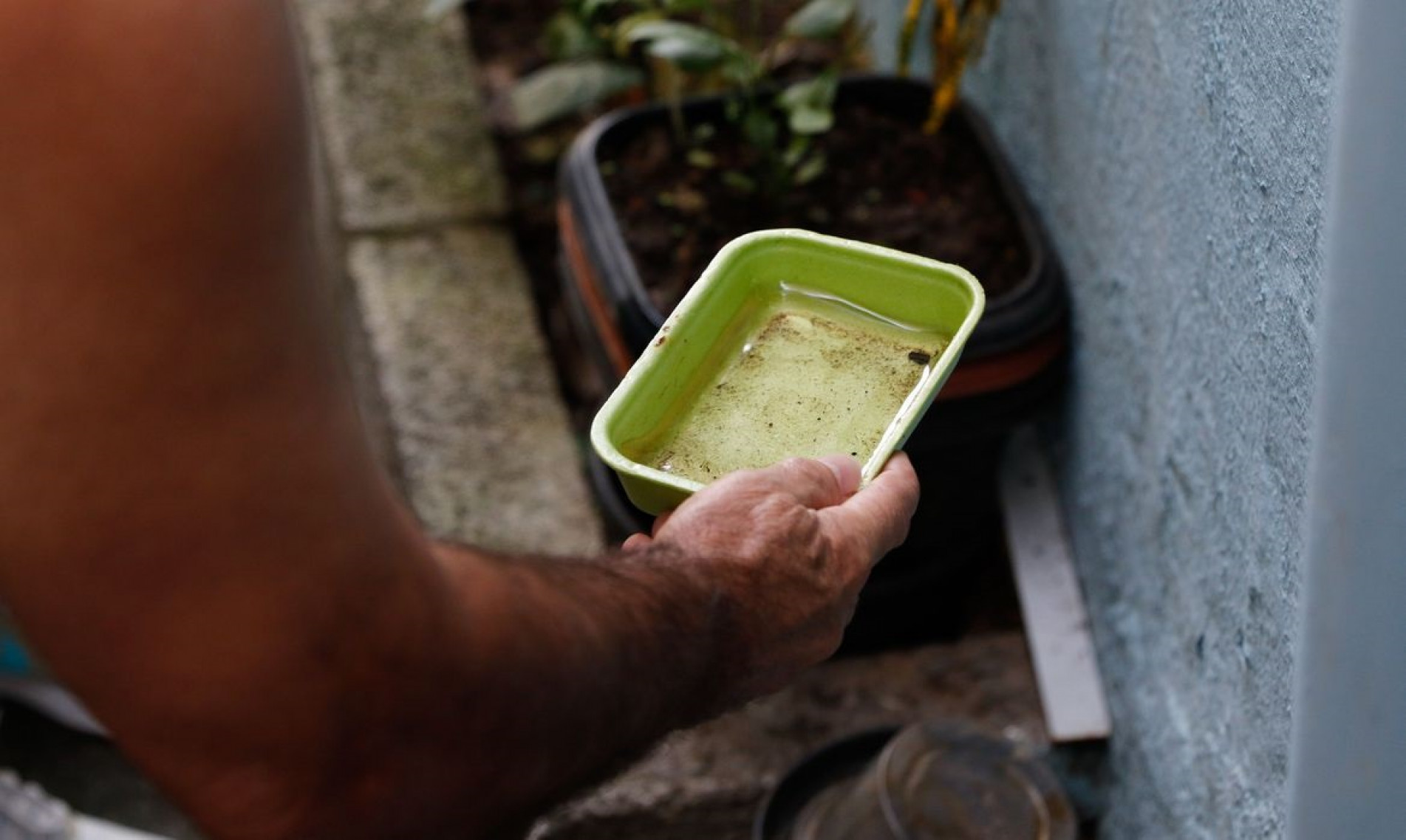 Casos de dengue na cidade de São Paulo chegam a 7.230