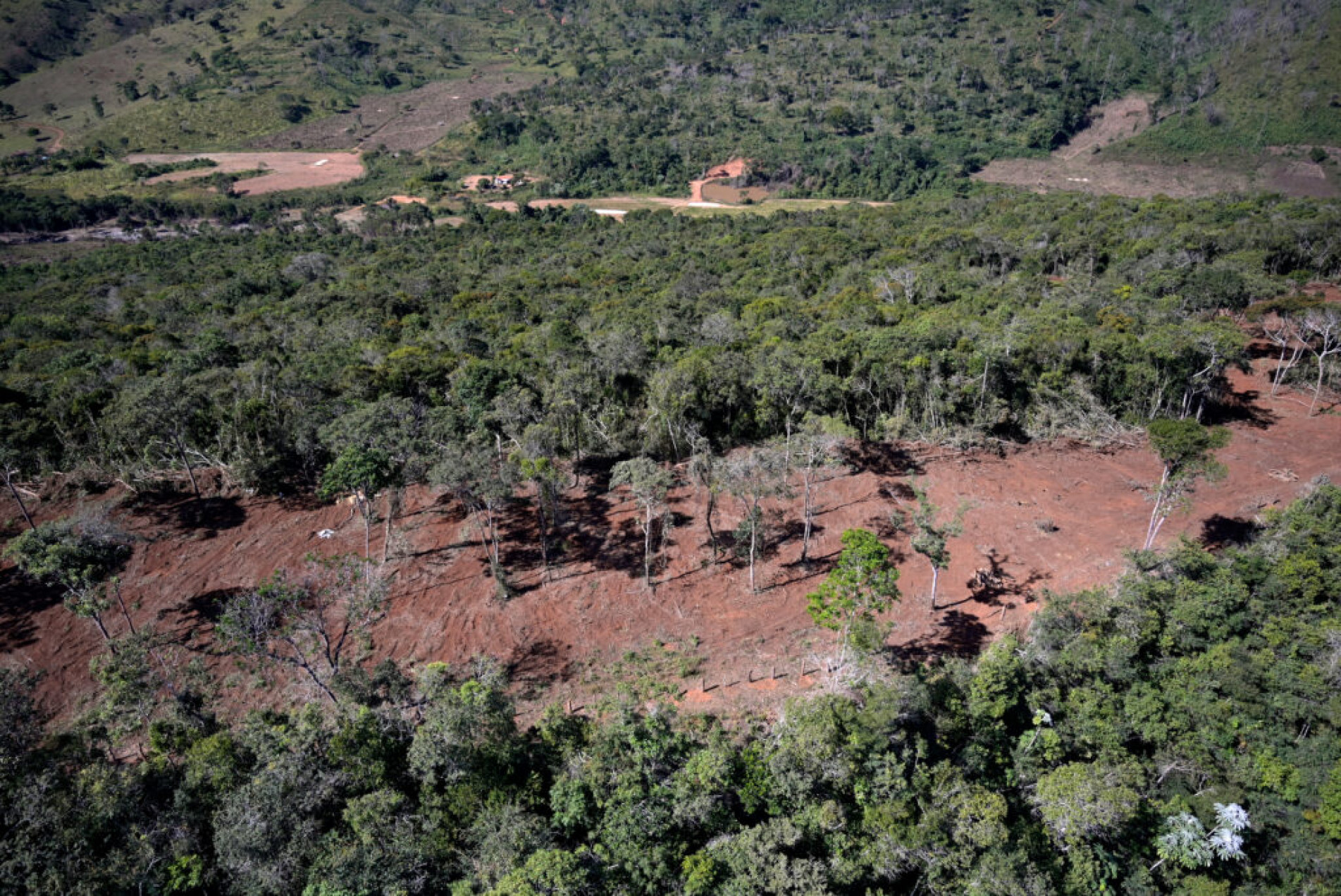 O desmatamento na Mata Atlântica atingiu o segundo pior patamar em seis anos, com 20,075 mil hectares desflorestados 
