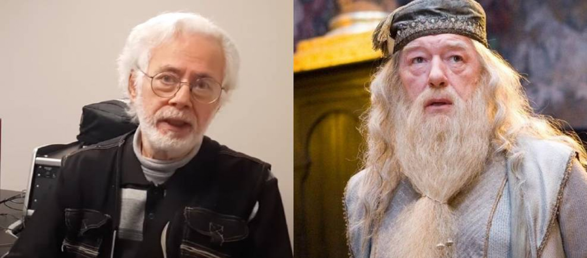 Lauro Fabiano dublou o personagem Alvo Dumbledore na franquia Harry Potter