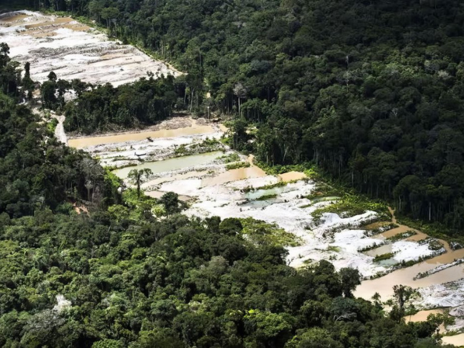 Floresta Nacional de Urupadi, localizada em Maués (AM), na região sul do Amazonas, a cerca de 267 quilômetros de Manaus