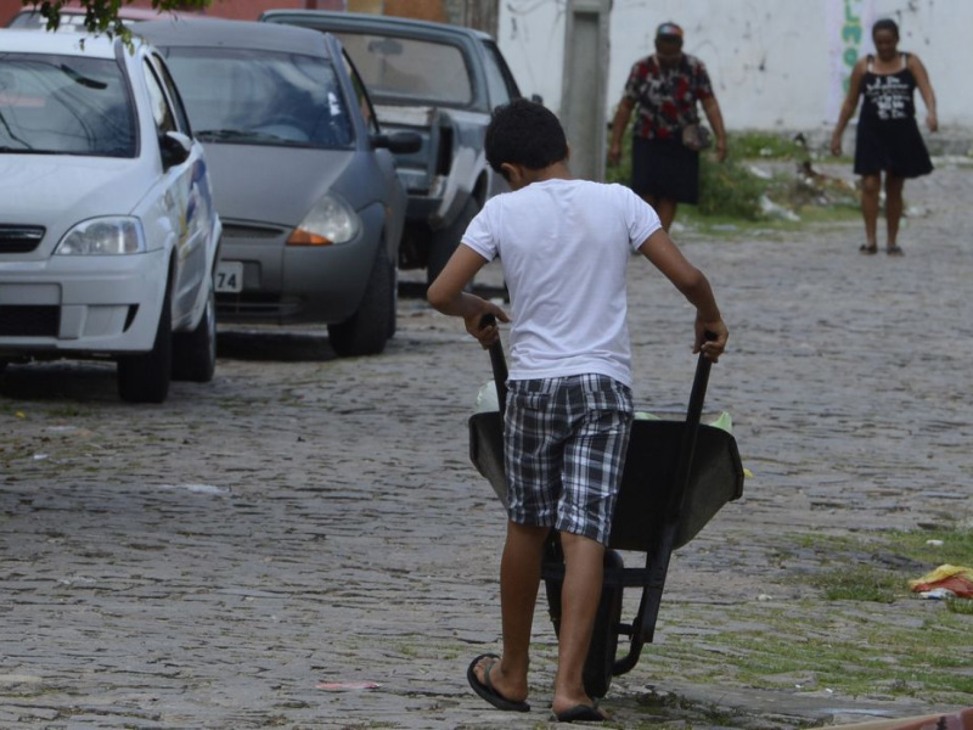 Os maiores números foram em comércio, reparação de veículos automotores e motocicletas, serviços de alojamento e alimentação. 