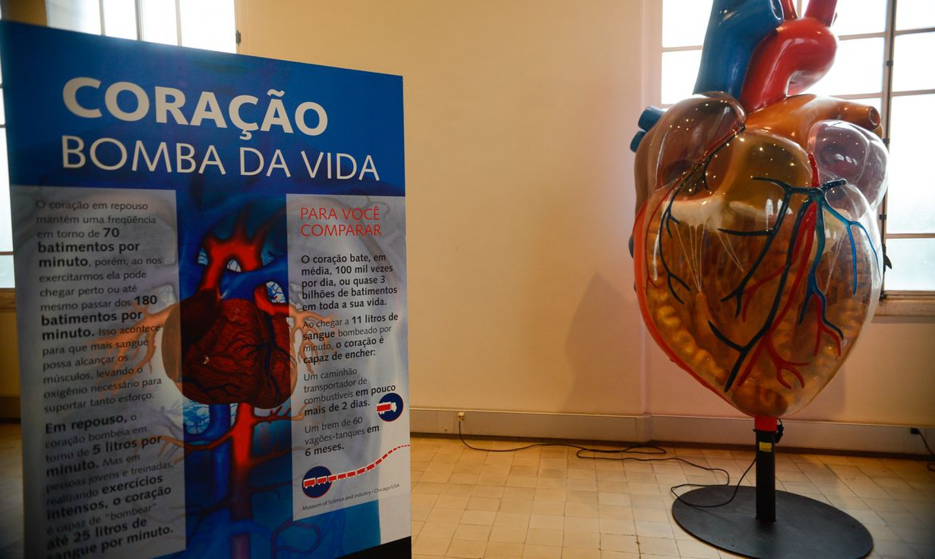 Exposição Vias do Coração no Museu da Vida, no Castelo da Fiocruz