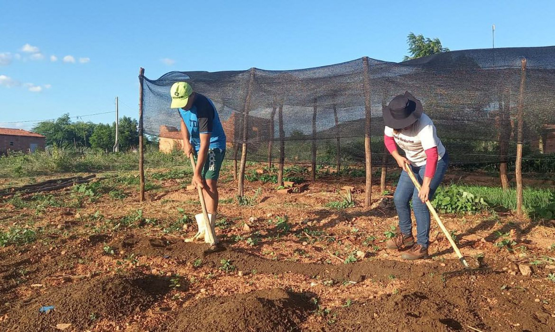 Tecnologia social que permite a produção de alimentos tem garantido segurança alimentar 