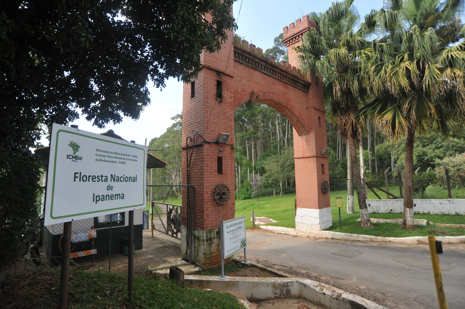 Floresta Nacional de Ipanema, em Iperó, é uma boa opção de lazer