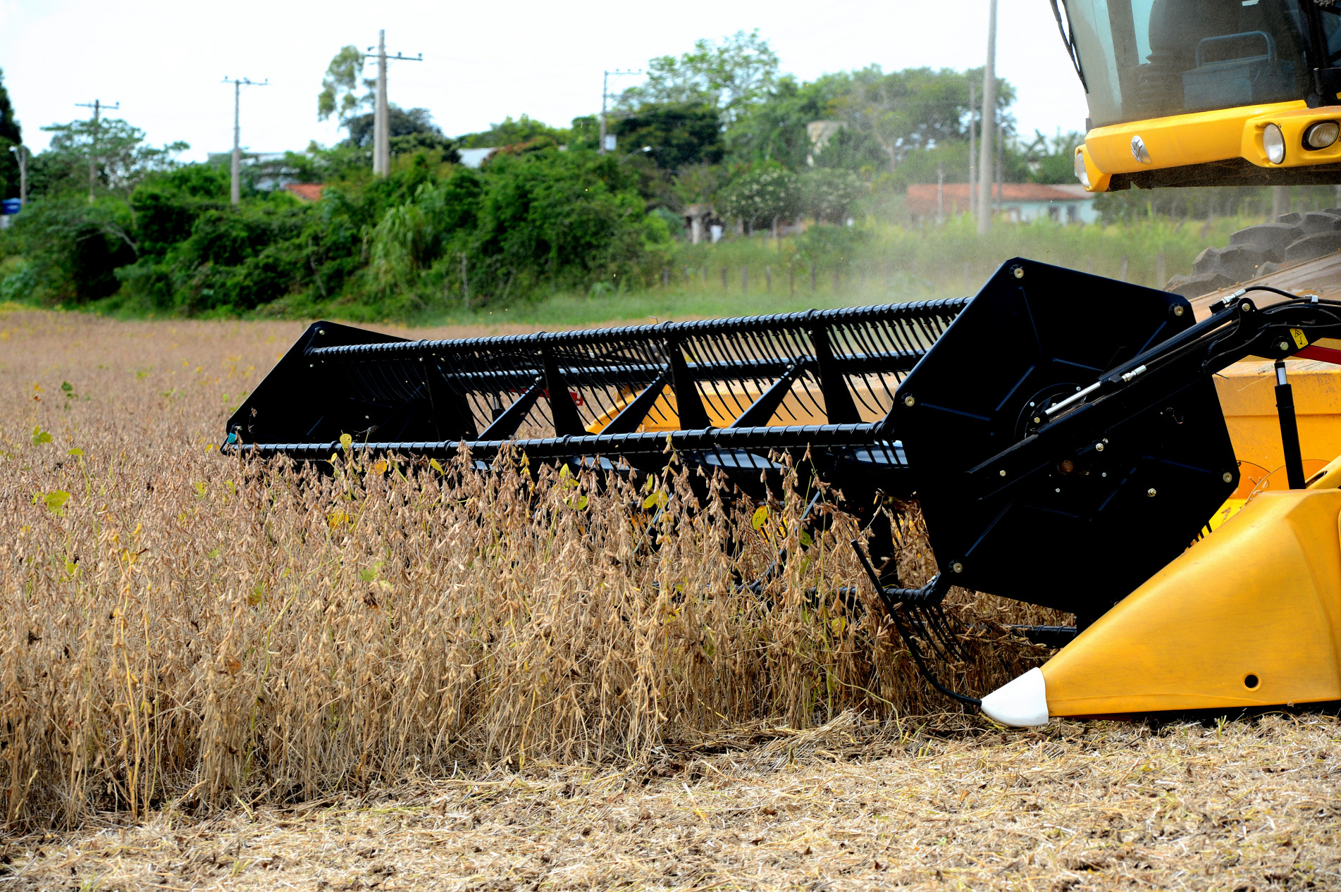 Expansão no plantio em 2023/24 deve ser de 0,5%, para 44,5 milhões de hectares