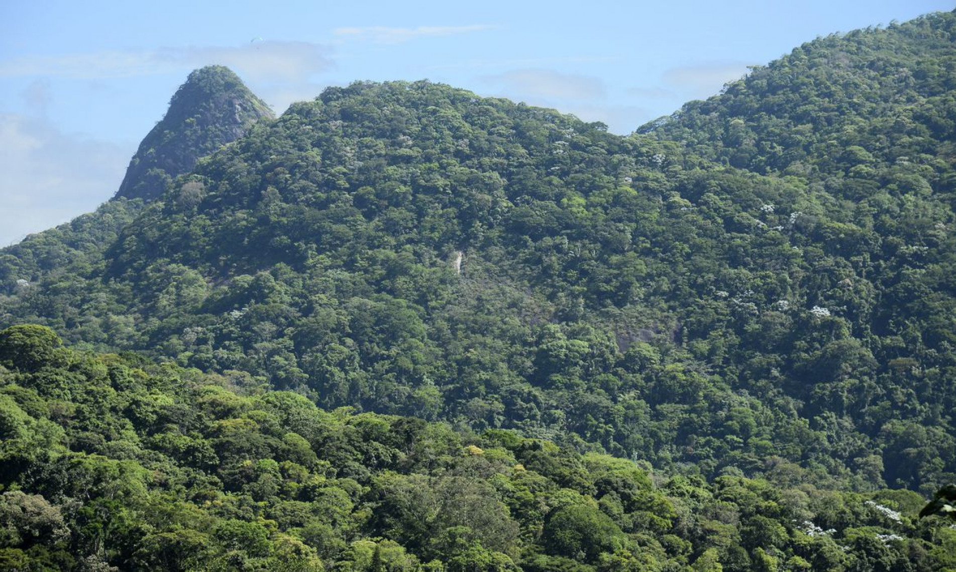 12.166 hectares de área desmatada foram registrados no mesmo período do ano passado.