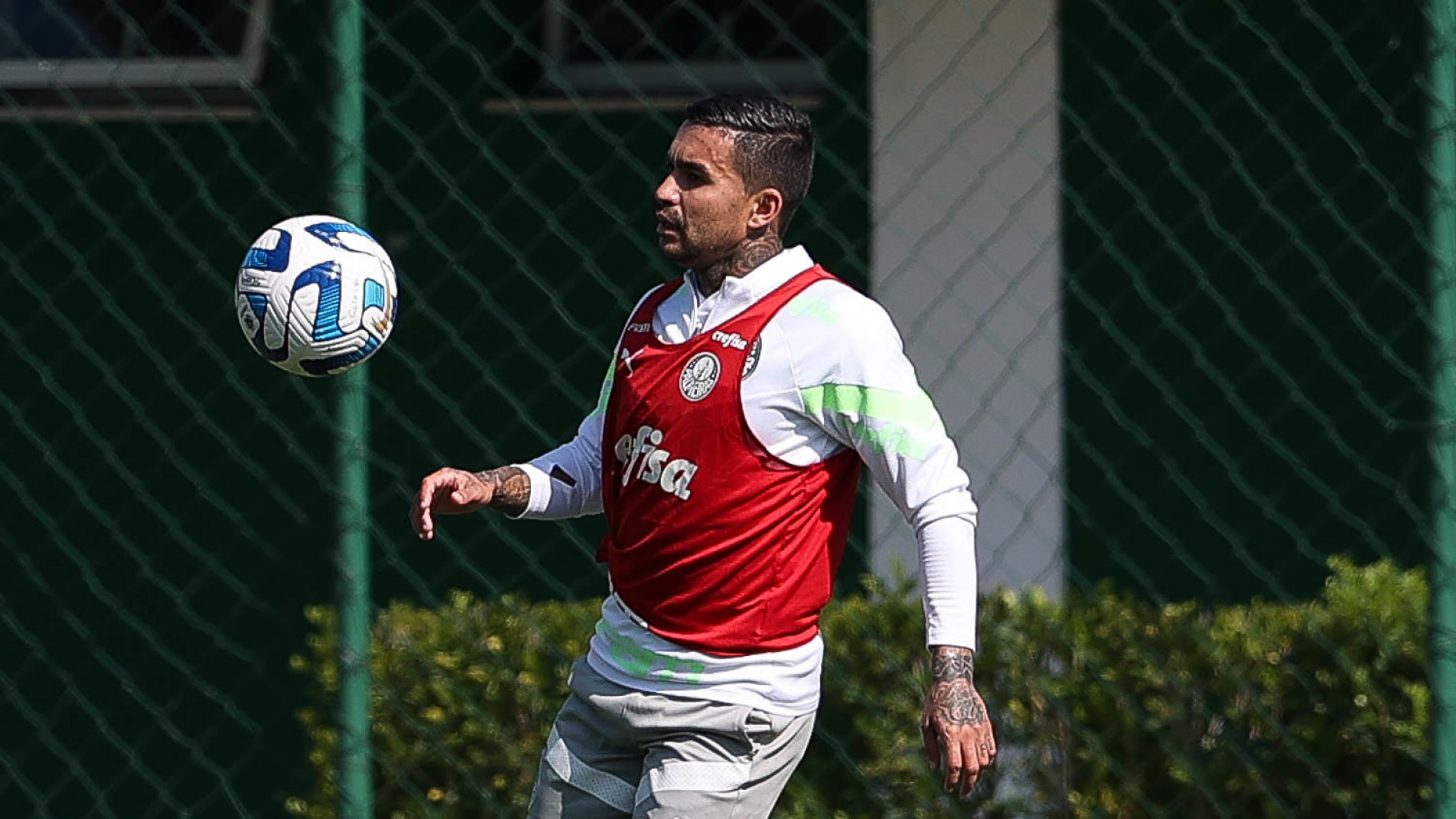 A grande dúvida no Palmeiras é se Dudu estará em campo
