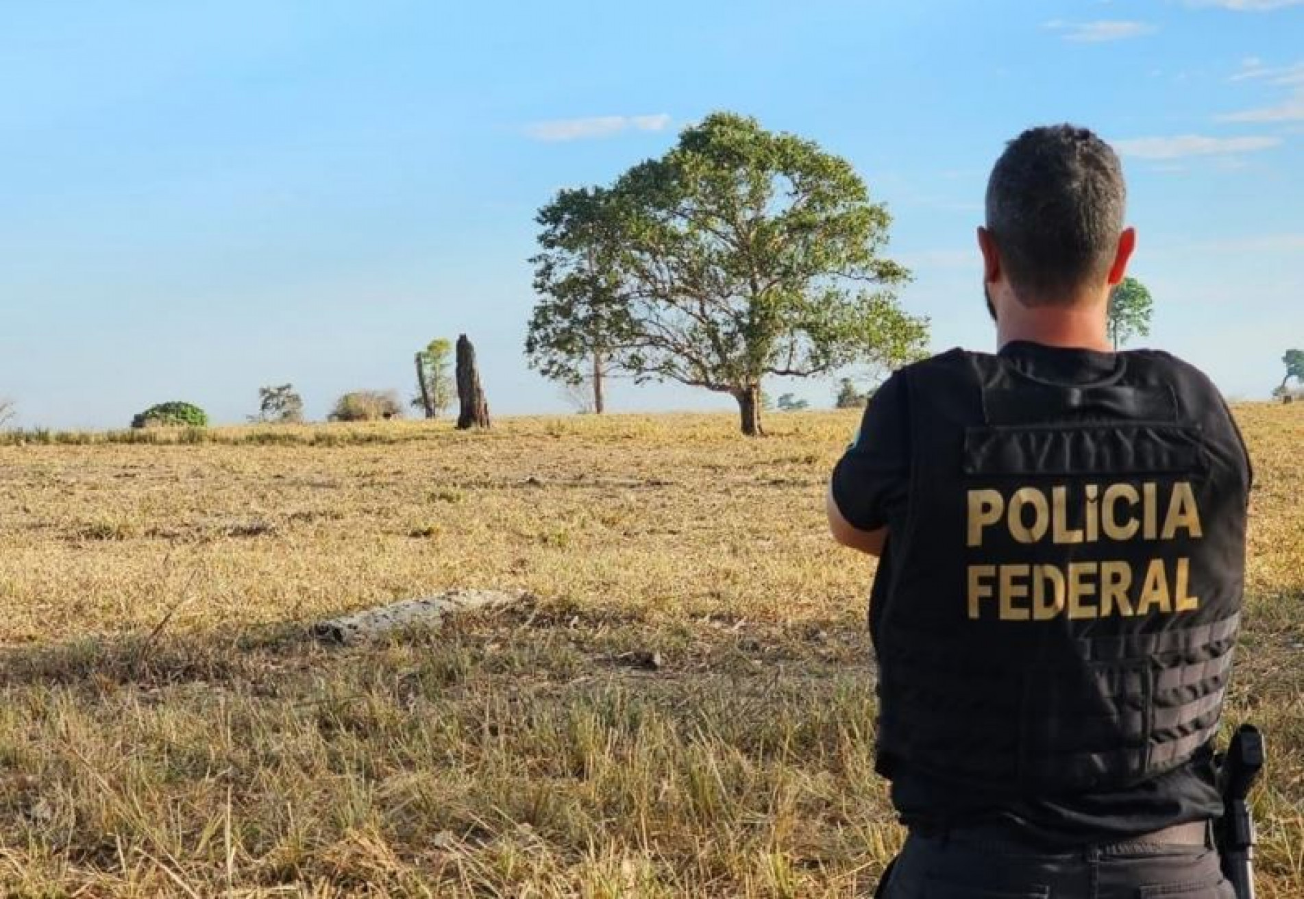 Ações foram realizadas em várias cidades do Pará