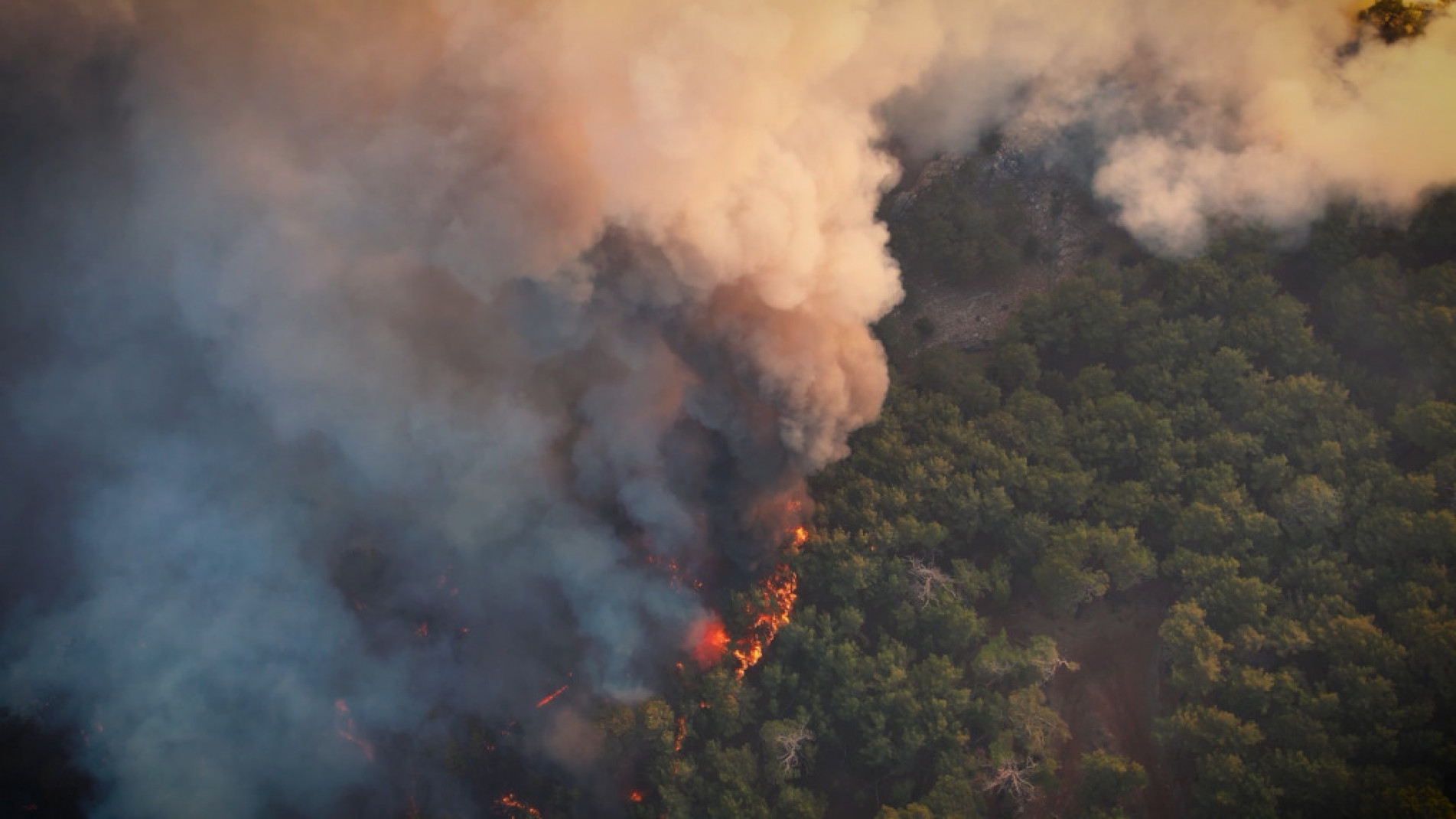 No último ano, mais de 90% dos focos de incêndio foram causados por ações humanas evitáveis