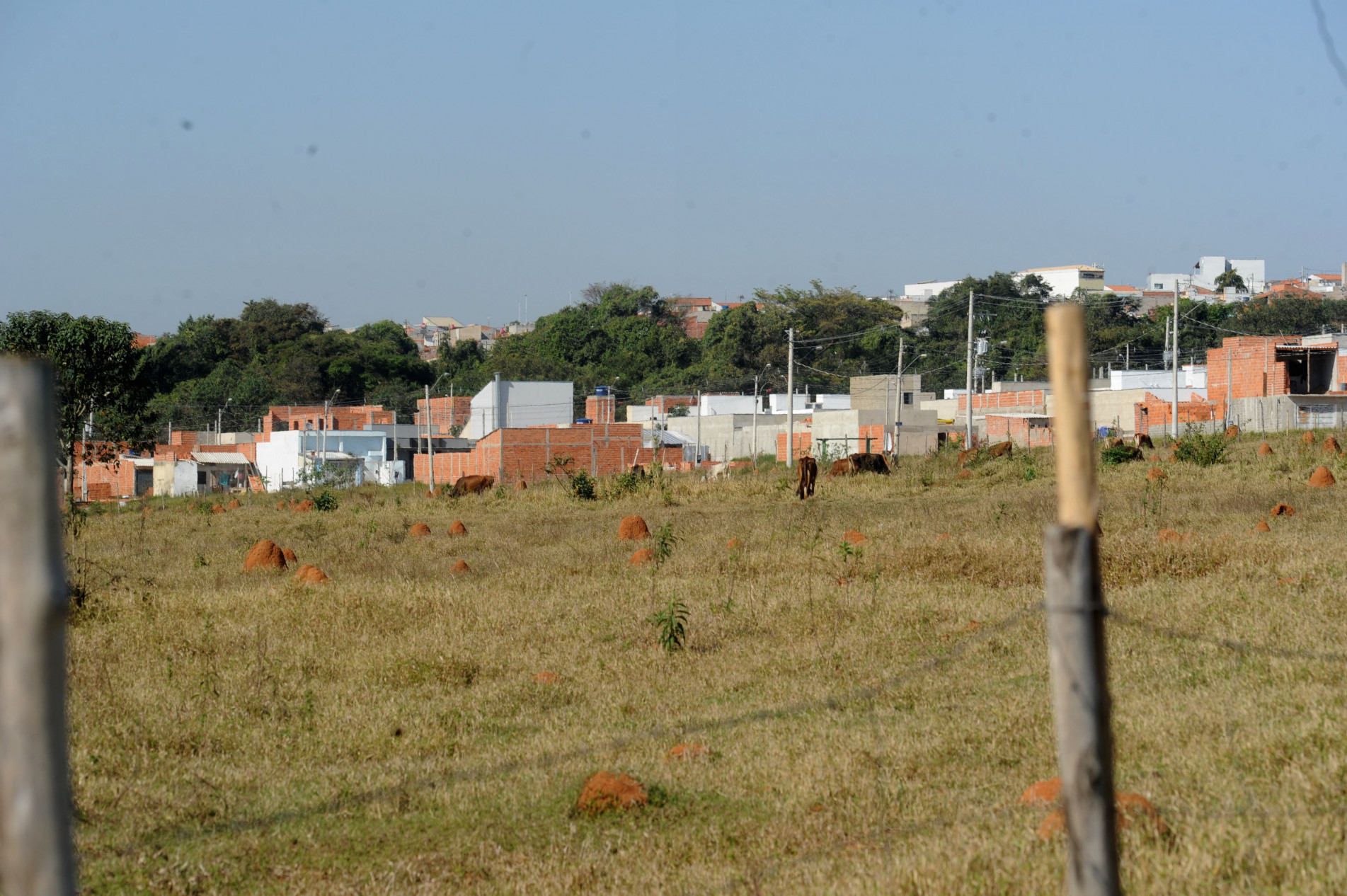 Moradores relatam situação incômoda. Cheiro vem da ETE-S2, dizem  