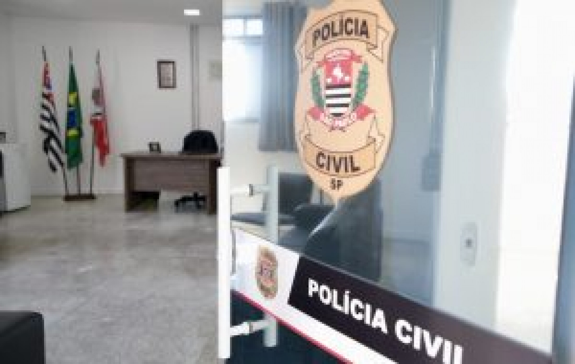 Polícia apreende fuzis, pistolas e espingardas que eram rifadas na internet