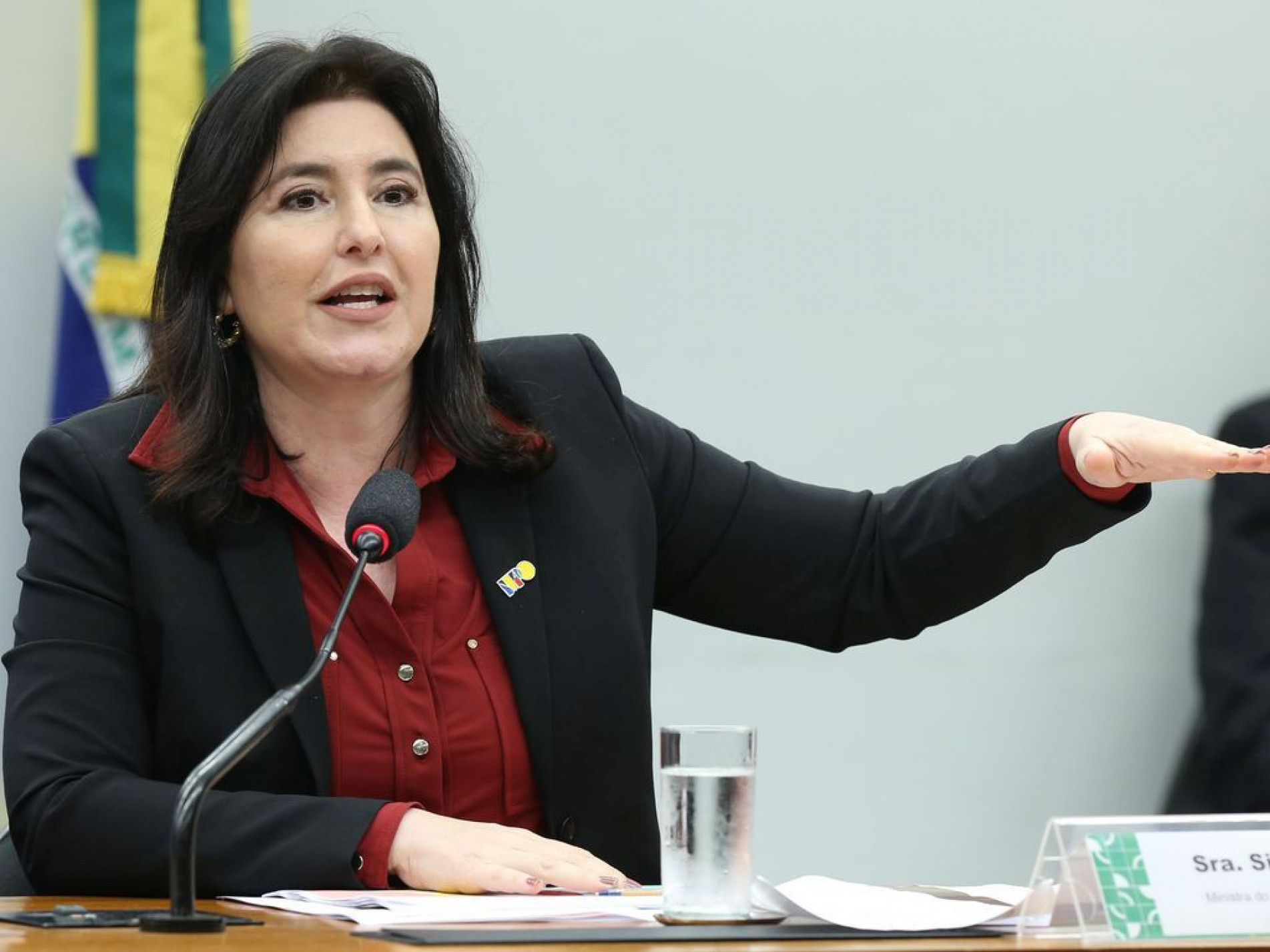 Ministra falou de 