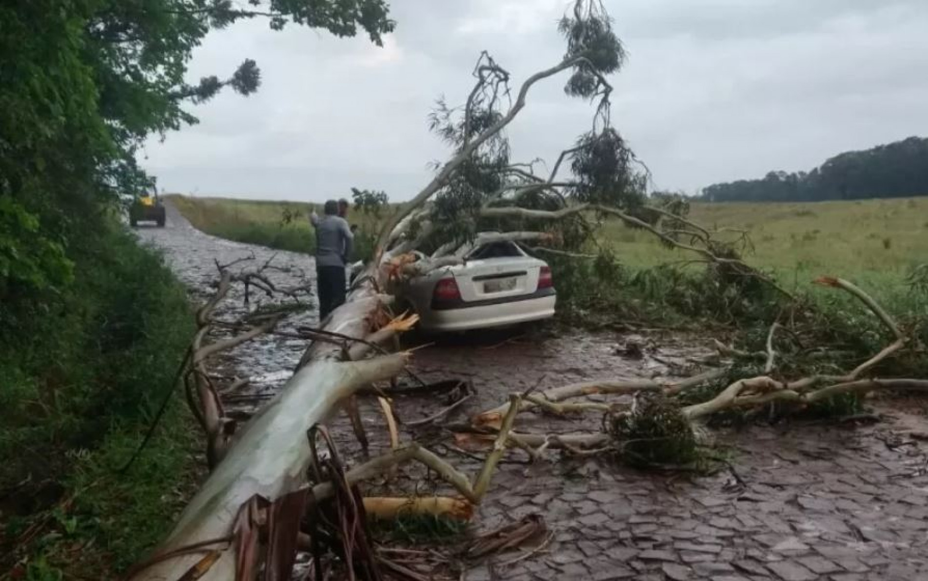 Quatro pessoas morreram e mais de 100 ficaram desalojadas no Rio Grande do Sul