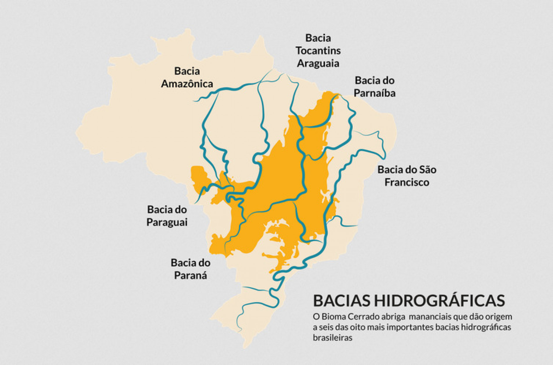 Considerado o berço das águas do Brasil, o Cerrado é a origem das nascentes de oito das 12 bacias hidrográficas mais importantes do país