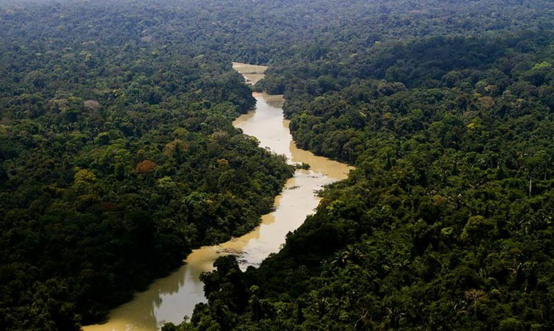 Área usada pelo garimpo ilegal aumenta em 35 mil hectares, diz estudo