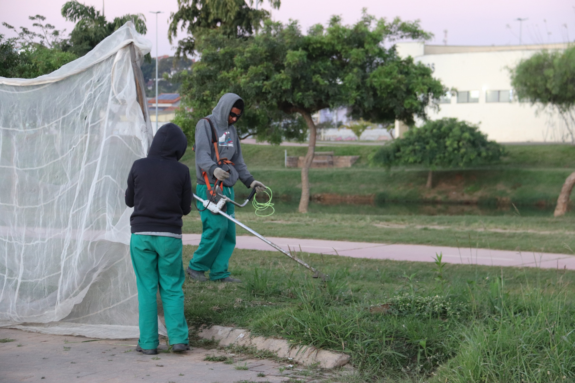 Manter o mato baixo é uma das formas de prevenir a infecção pelo carrapato estrela