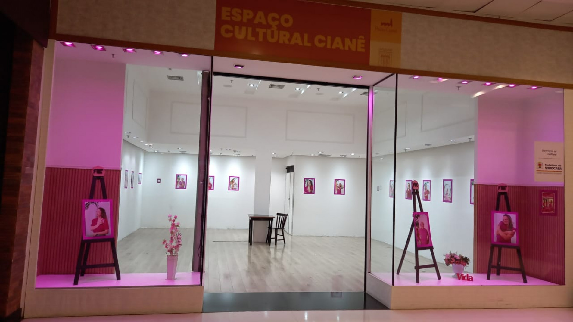 Exposição 