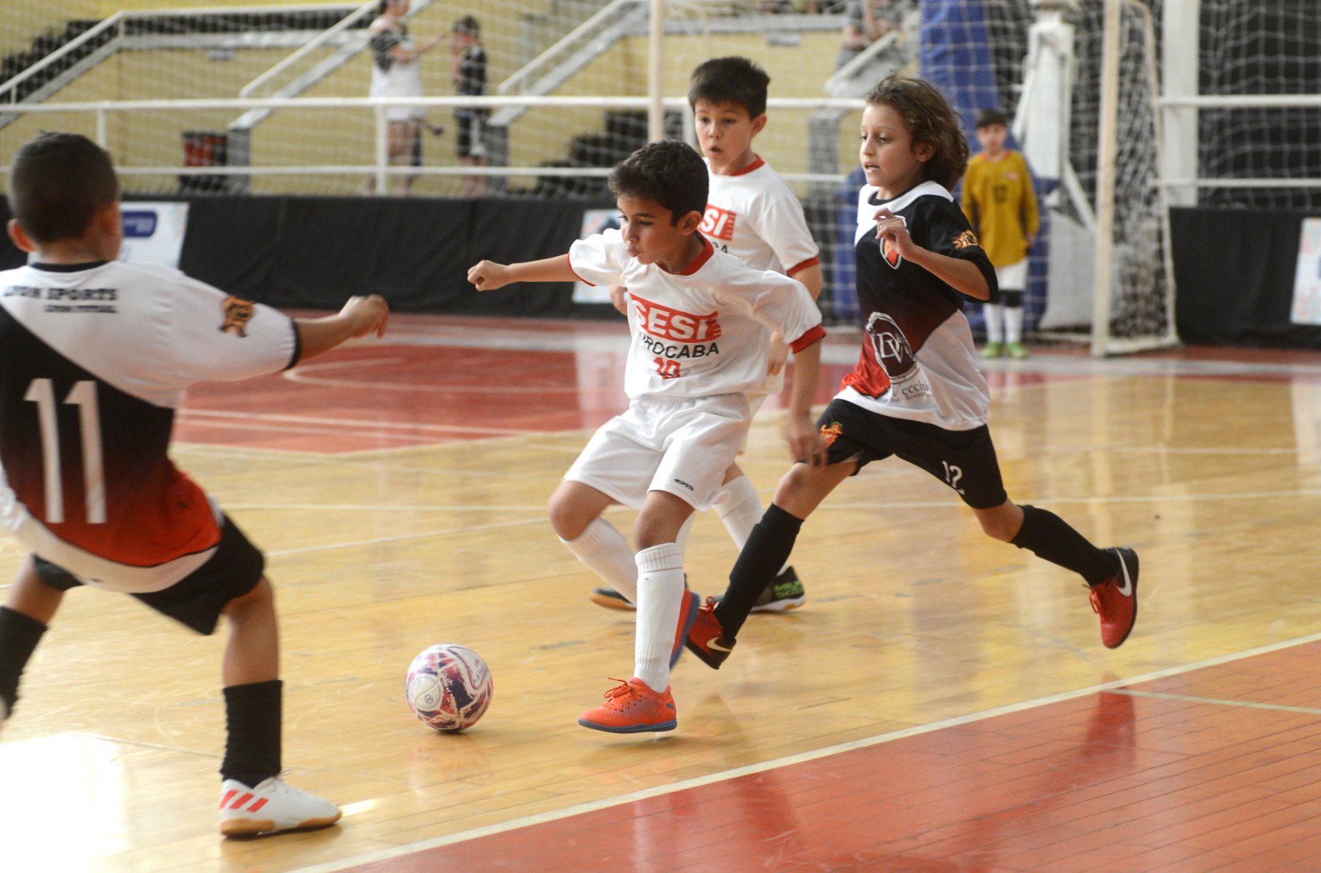 Torneio movimenta cinco ginásios hoje e amanhã