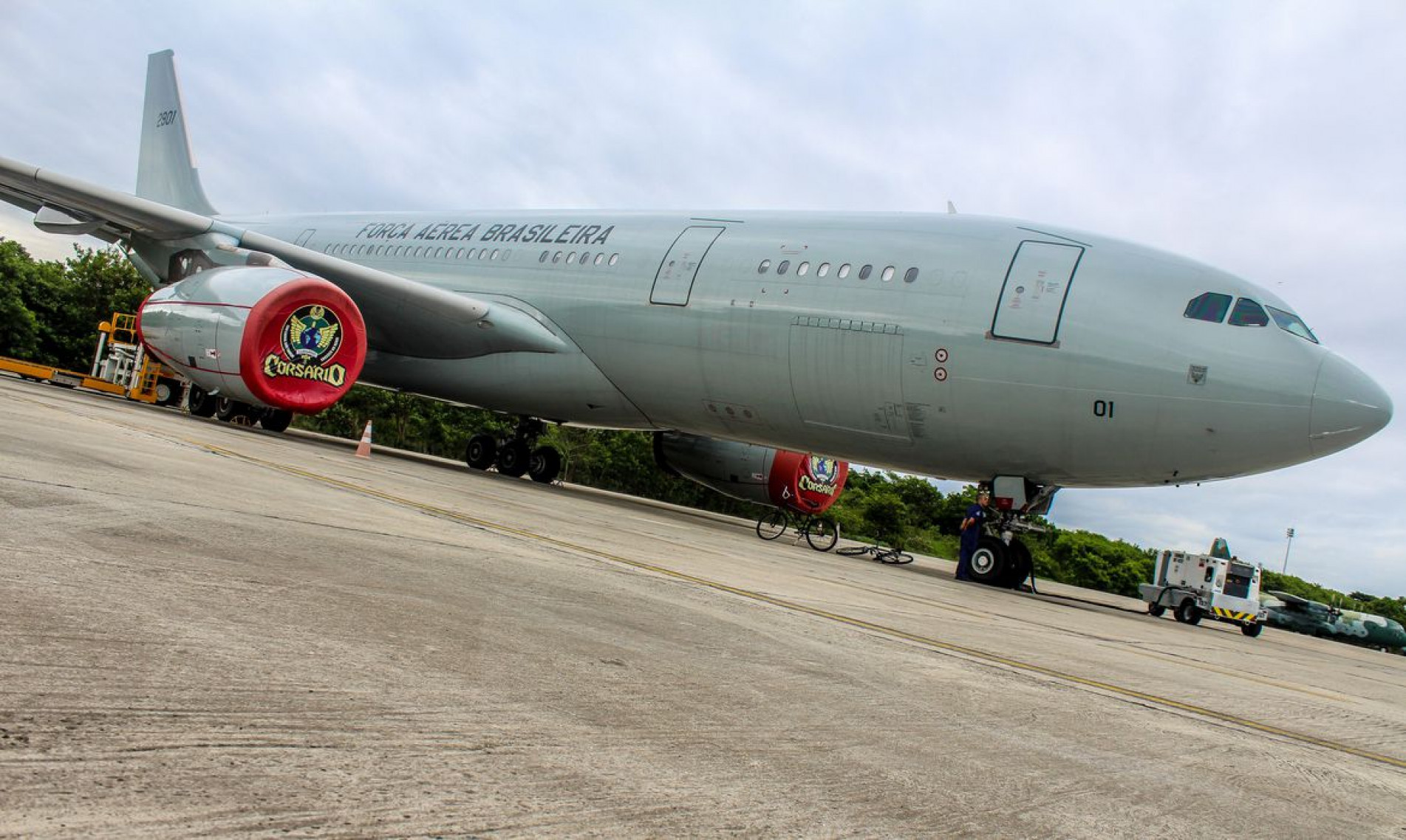 O sexto avião da FAB trouxe 219 brasileiros repatriados de Israel e 11 animais de estimação 