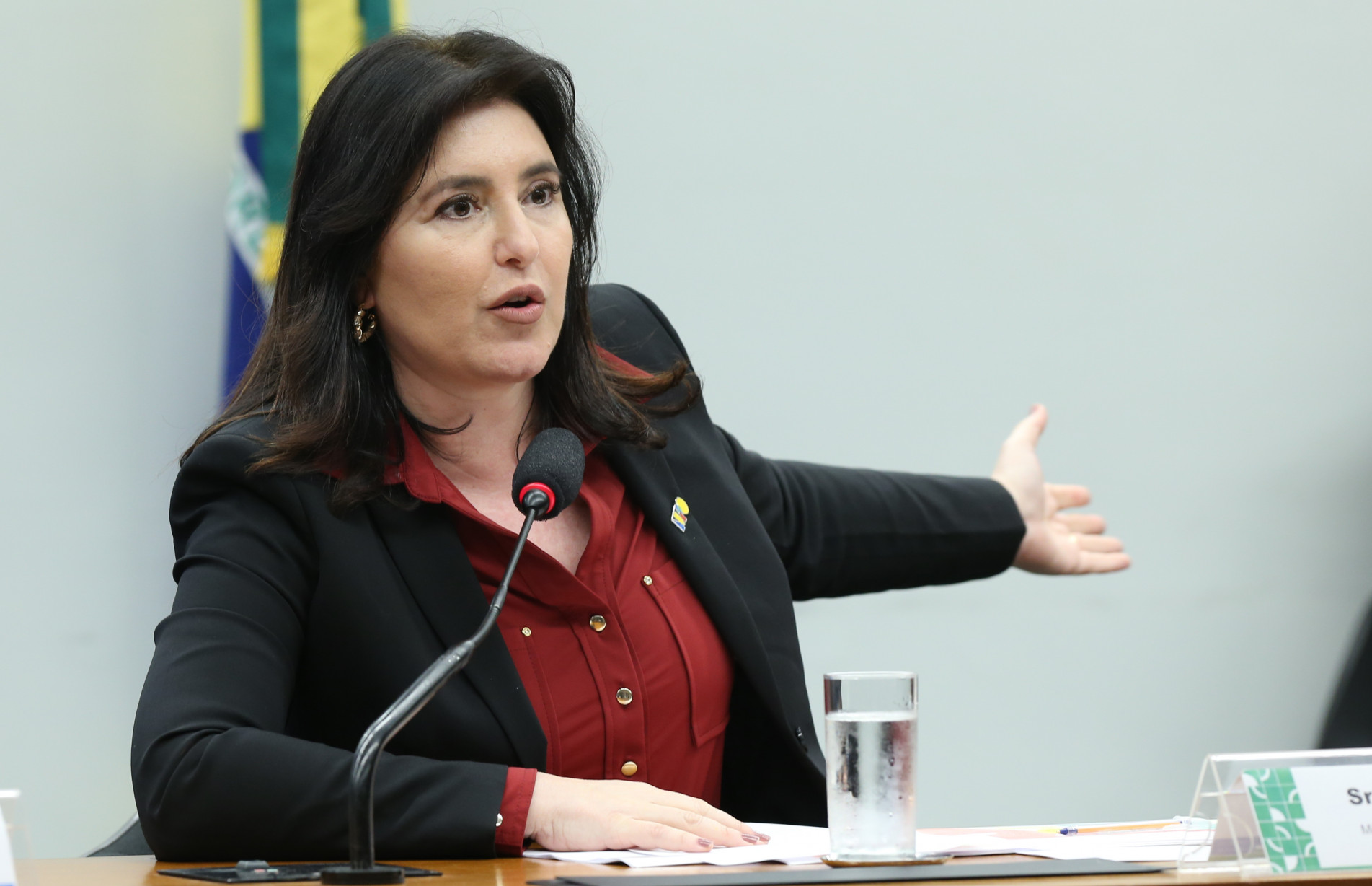 Simone Tebet falou sobre emendas apresentadas na Câmara