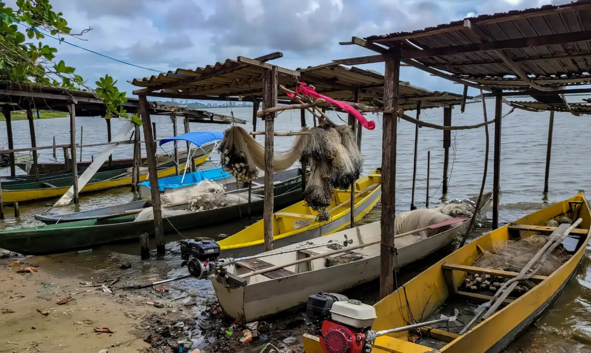 Peixe na água e rede vazia: desastre da Braskem atinge pescadores