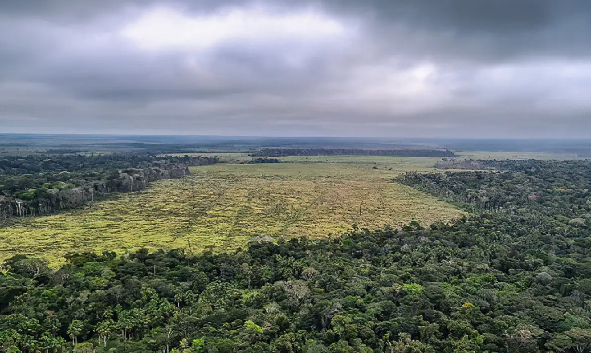 Desmanamento na Amazônia foi de 116 quilômetros quadrados em novembro, 80% a menos do que a área calculada em 2022, quando atingiu 590 km² 