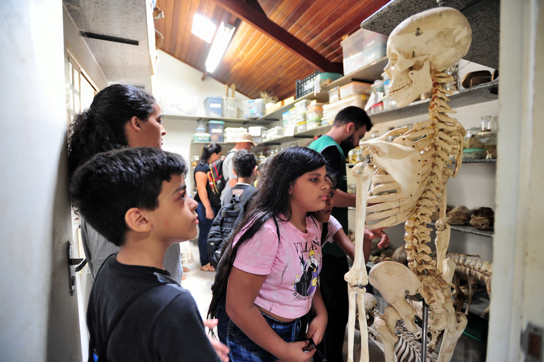 O Museu de Zoologia é a estrela no 