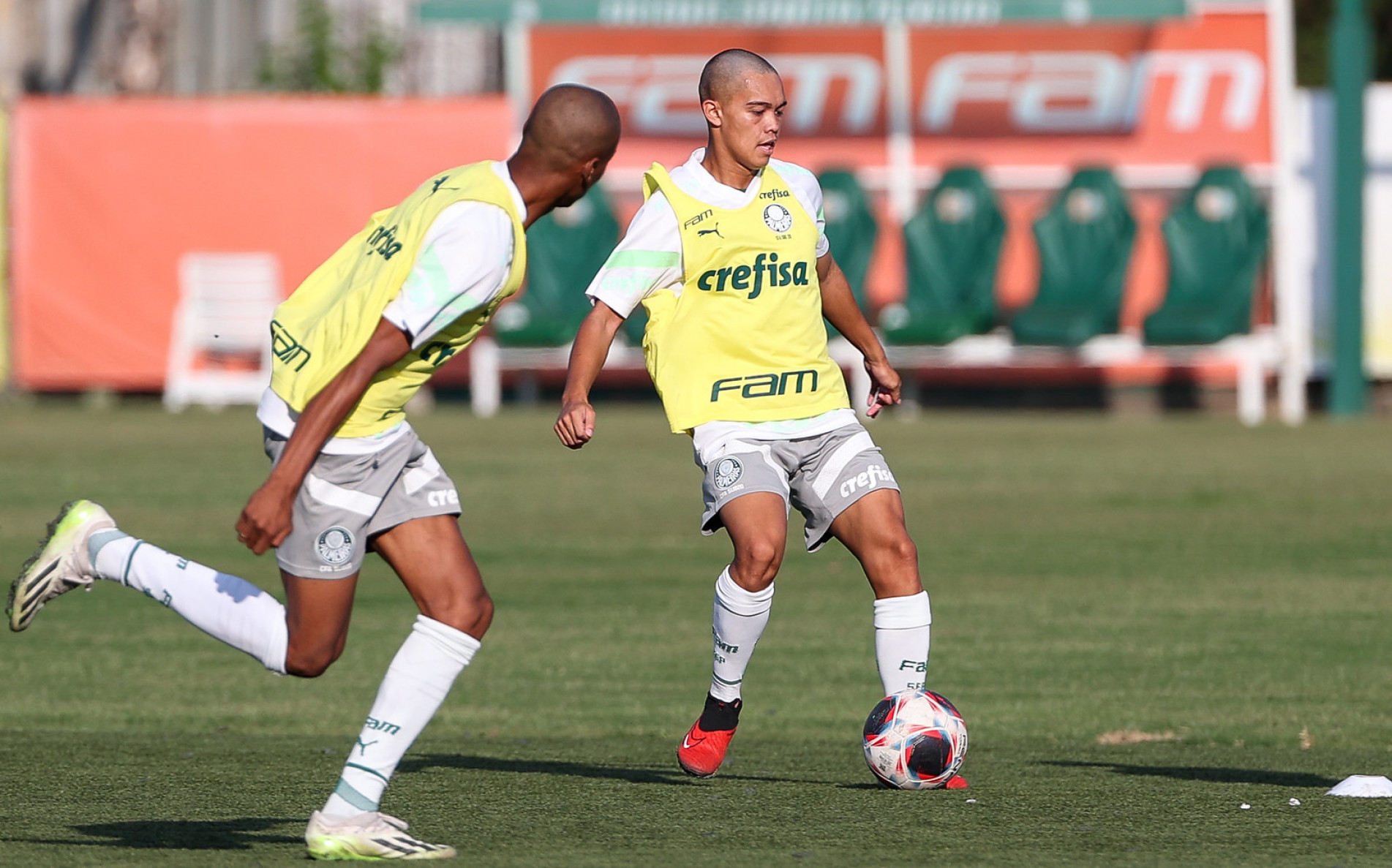 Palmeiras defende os 100% contra o Sport e o Santos encara o EC São Bernardo, em Diadema