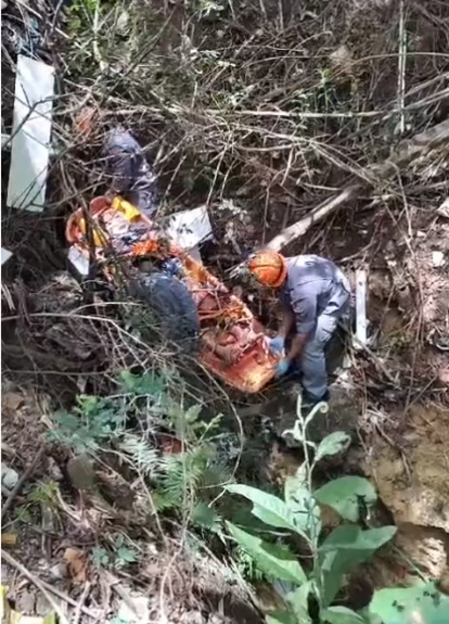 Nas imagens é possível ver a ação do Corpo de Bombeiros